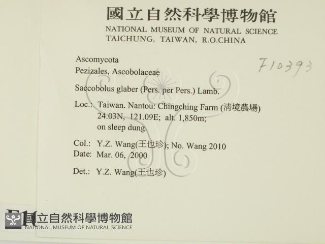 登錄號:F0010393藏品圖，第2張