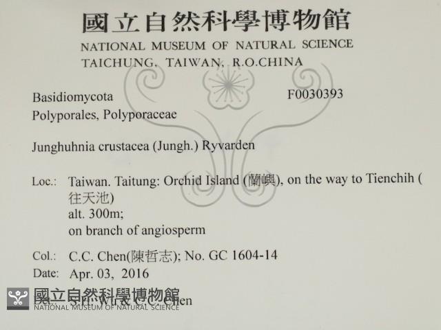 登錄號:F0030393藏品圖，第2張