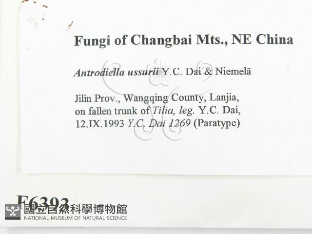 登錄號:F0006393藏品圖，第2張