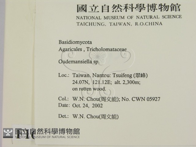 登錄號:F0016393藏品圖，第2張