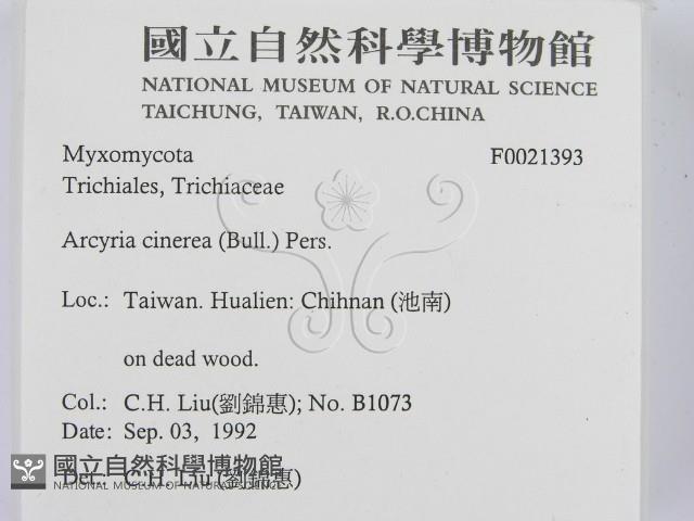 登錄號:F0021393藏品圖，第2張