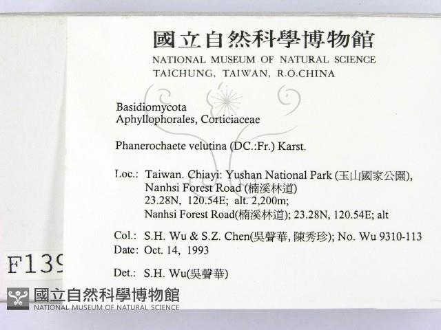 登錄號:F0001393藏品圖，第2張