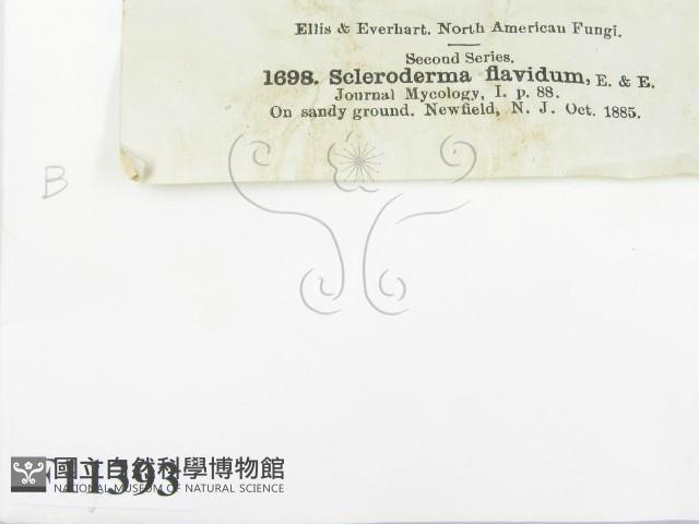 登錄號:F0011393藏品圖，第2張