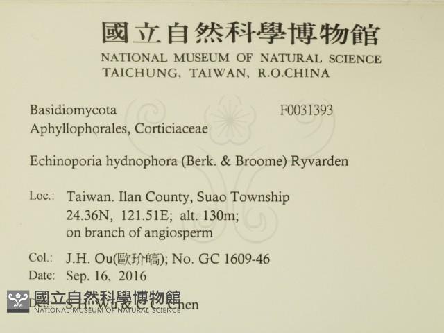 登錄號:F0031393藏品圖，第2張