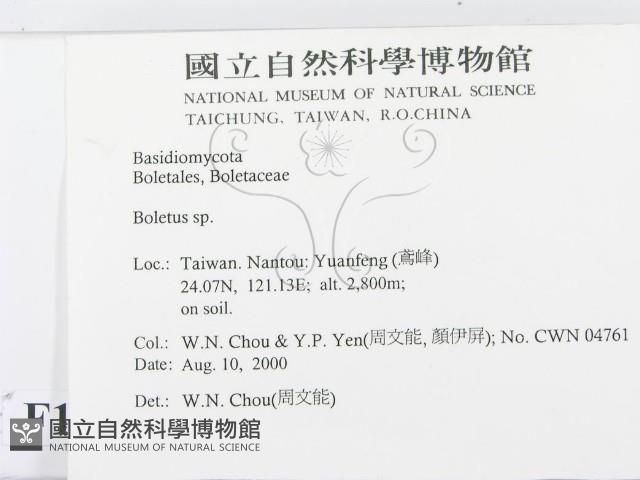 登錄號:F0014393藏品圖，第2張