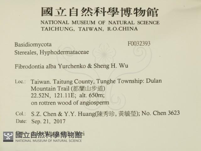 登錄號:F0032393藏品圖，第2張