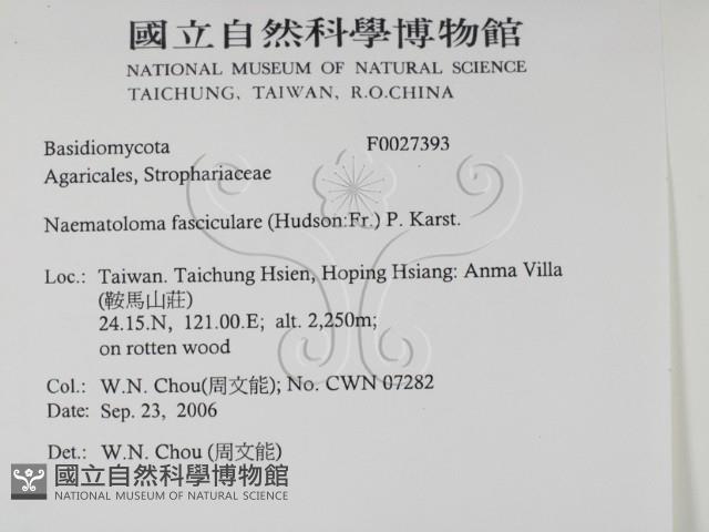 登錄號:F0027393藏品圖，第2張