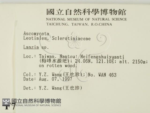 登錄號:F0007393藏品圖，第2張