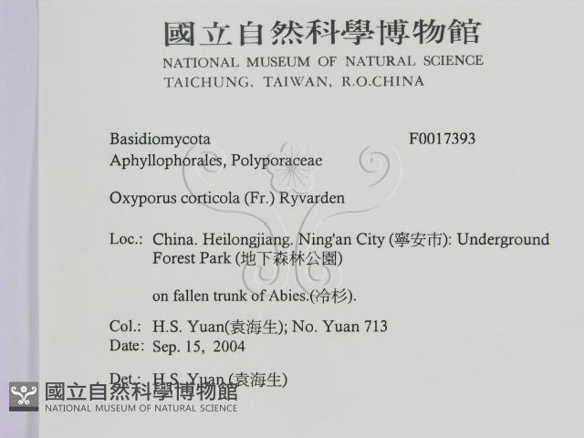 登錄號:F0017393藏品圖，第2張