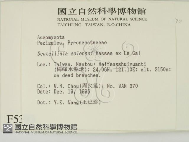 登錄號:F0005393藏品圖，第2張