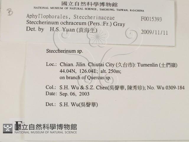 登錄號:F0015393藏品圖，第2張