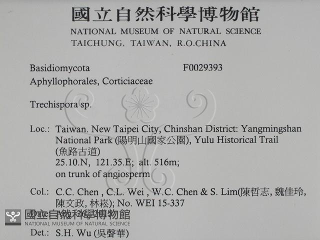 登錄號:F0029393藏品圖，第2張
