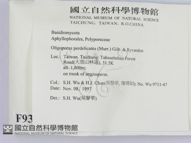登錄號:F0009393藏品圖，第2張