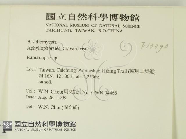 登錄號:F0013393藏品圖，第2張