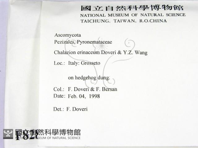 登錄號:F0008283藏品圖，第2張