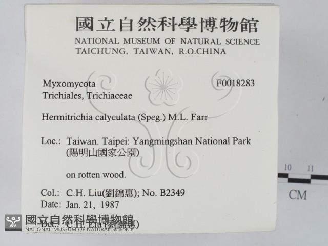 登錄號:F0018283藏品圖，第2張