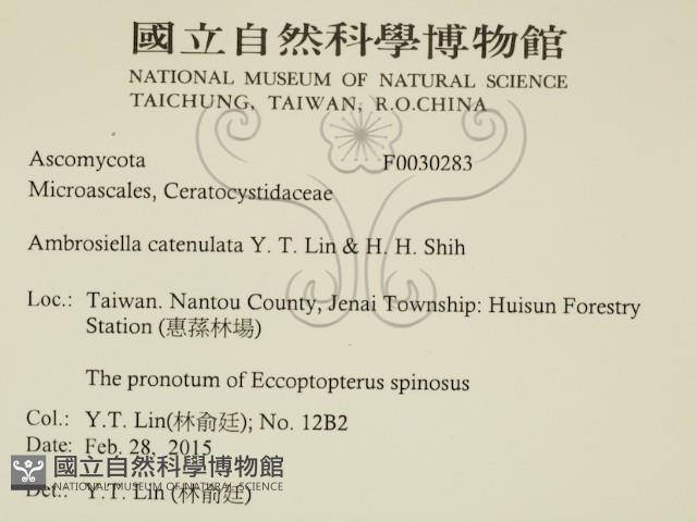 登錄號:F0030283藏品圖，第2張