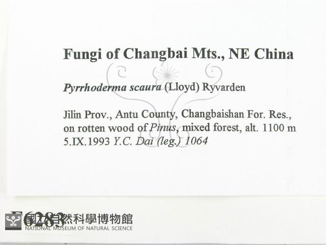 登錄號:F0006283藏品圖，第2張