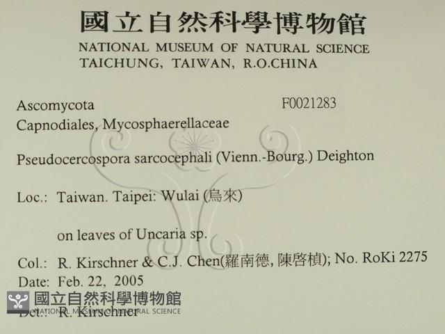 登錄號:F0021283藏品圖，第2張