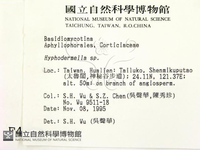 登錄號:F0004283藏品圖，第2張
