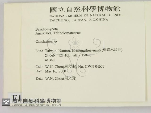 登錄號:F0014283藏品圖，第2張