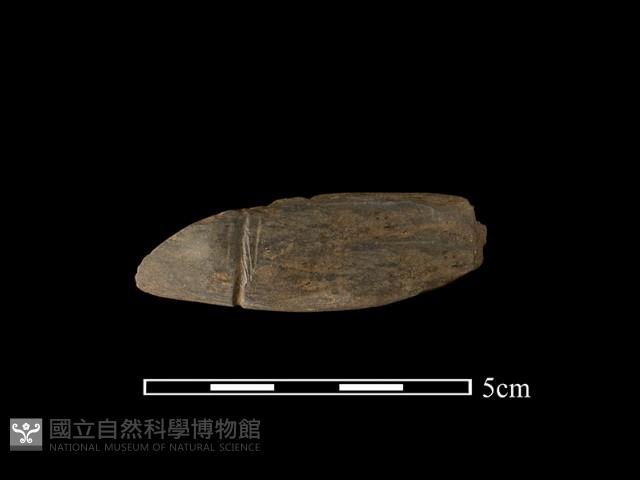 網墜藏品圖，第2張