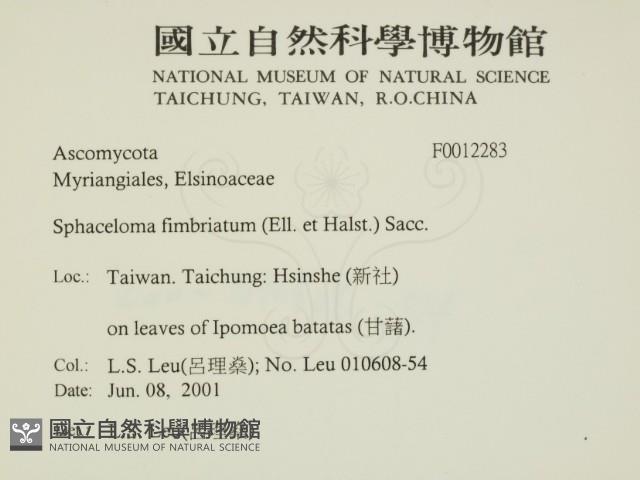 登錄號:F0012283藏品圖，第2張