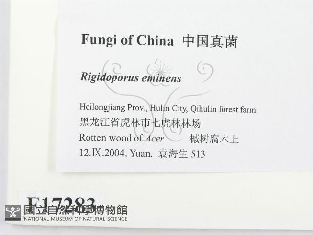 登錄號:F0017283藏品圖，第2張