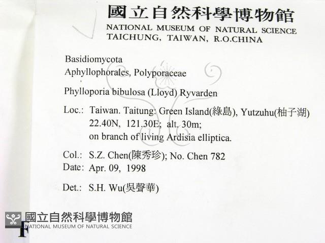 登錄號:F0008883藏品圖，第2張