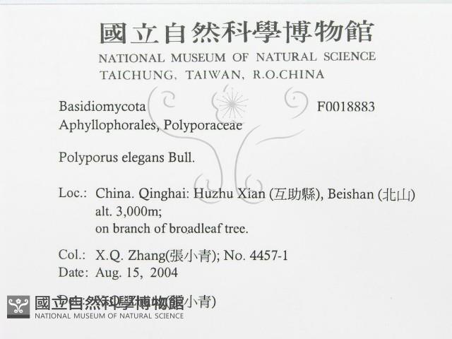 登錄號:F0018883藏品圖，第2張
