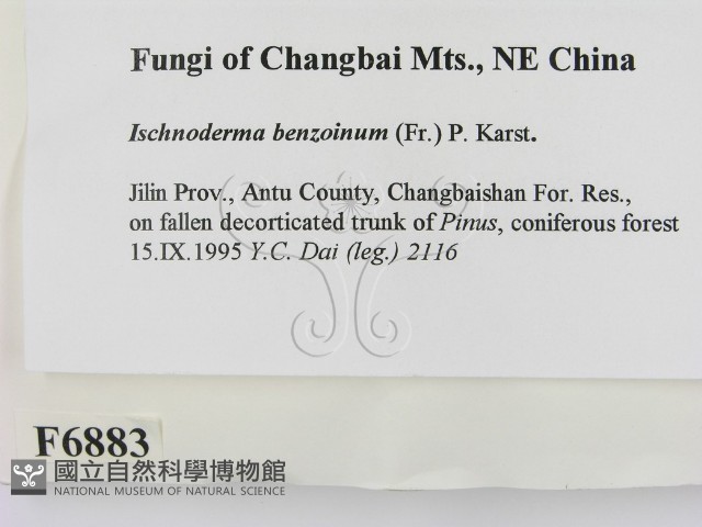 登錄號:F0006883藏品圖，第2張
