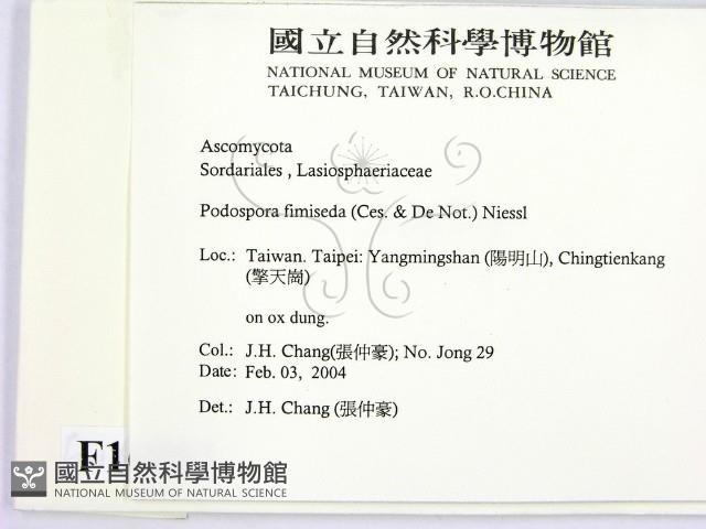 登錄號:F0016883藏品圖，第2張