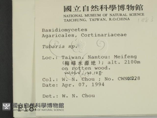 登錄號:F0001883藏品圖，第2張