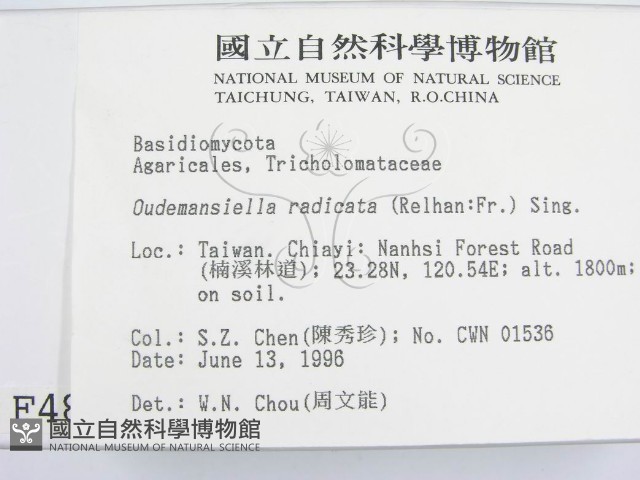 登錄號:F0004883藏品圖，第2張