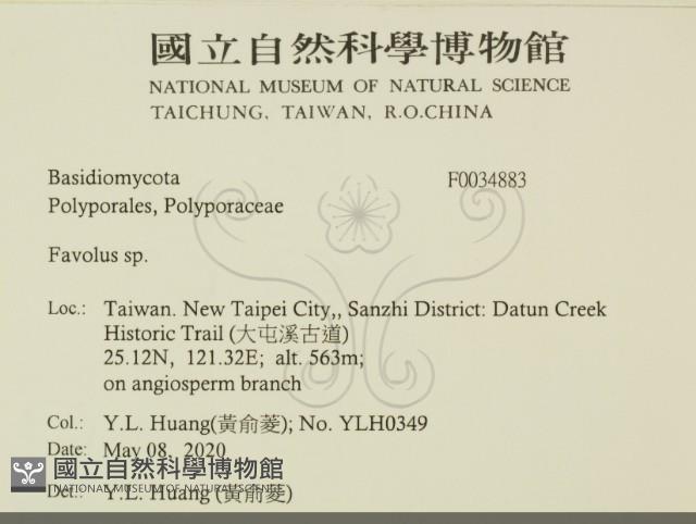 Accession Number:F0034883 Collection Image, Figure 2, Total 2 Figures