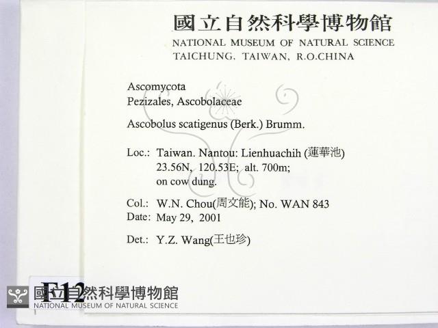 登錄號:F0012883藏品圖，第2張