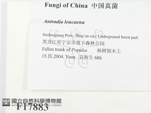登錄號:F0017883藏品圖，第2張