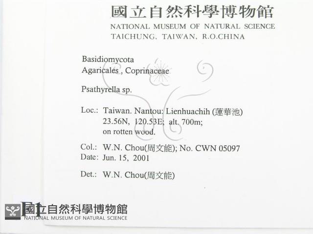 登錄號:F0015883藏品圖，第2張