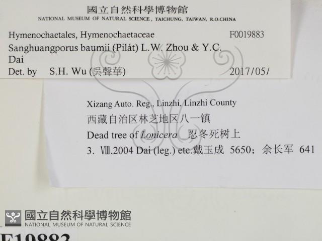 登錄號:F0019883藏品圖，第2張