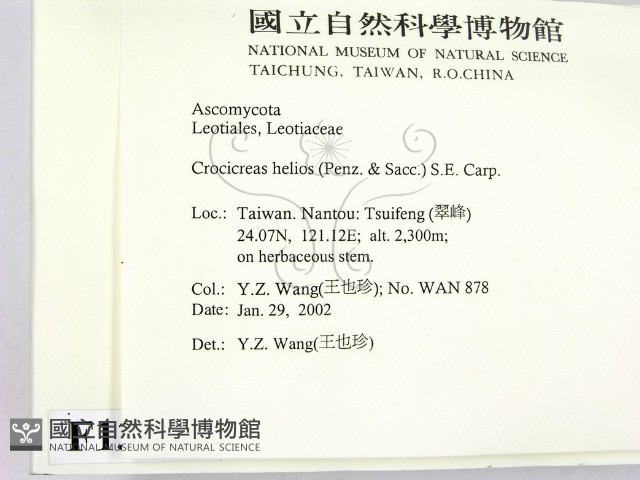 登錄號:F0013883藏品圖，第2張