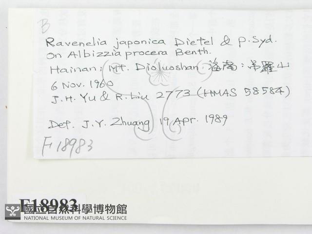 登錄號:F0018983藏品圖，第2張