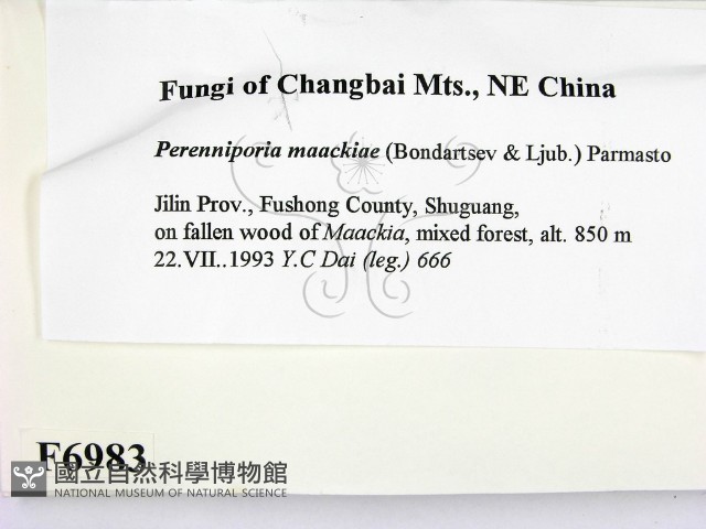 登錄號:F0006983藏品圖，第2張