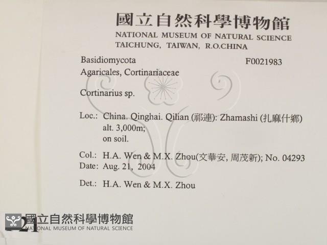 登錄號:F0021983藏品圖，第2張