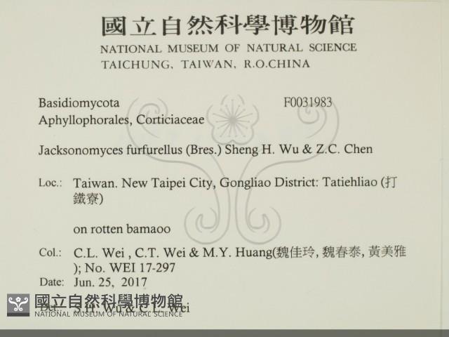 登錄號:F0031983藏品圖，第2張