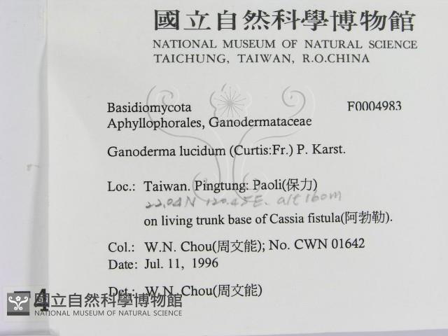 登錄號:F0004983藏品圖，第2張