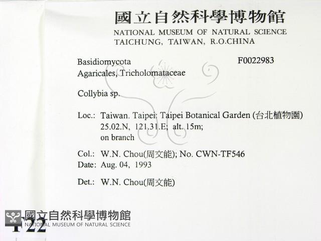 登錄號:F0022983藏品圖，第2張