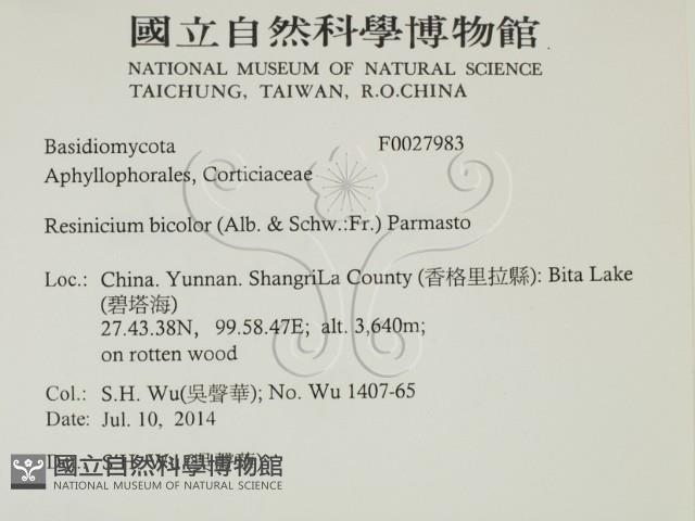 登錄號:F0027983藏品圖，第2張