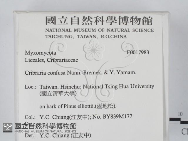登錄號:F0017983藏品圖，第2張