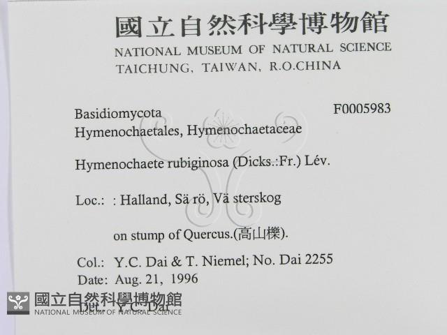 登錄號:F0005983藏品圖，第2張