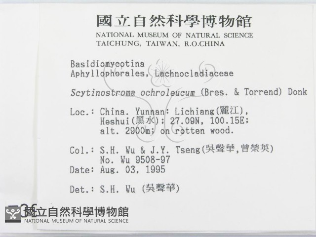 登錄號:F0003983藏品圖，第2張